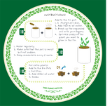 Seeds of Love - Eco Grow Your Own Plant Kit