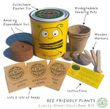 Big Bee Happiness Eco Plant Grow Kit, Gardening Gift