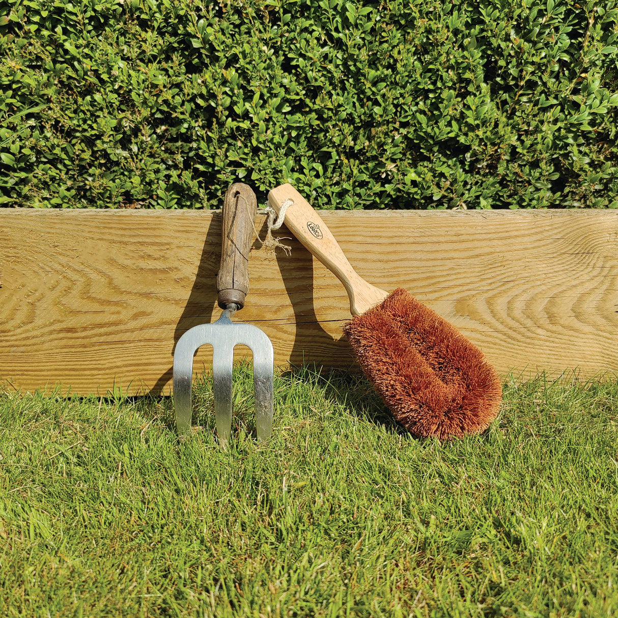 Gardener's Brush | Coconut Fibre & Rubberwood | Gift