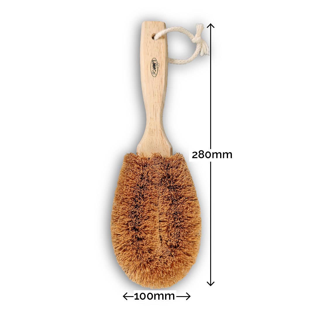 Gardener's Brush | Coconut Fibre & Rubberwood | Gift