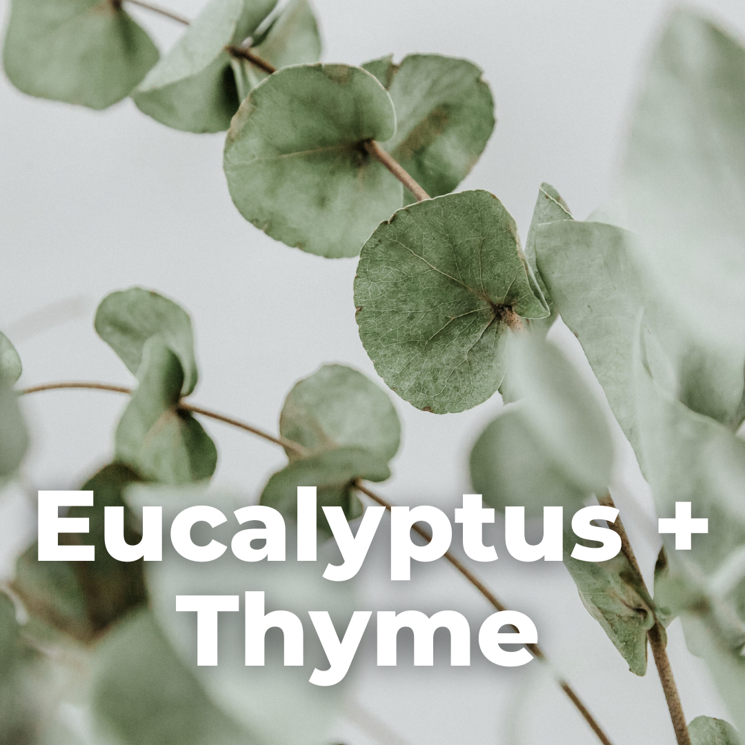 Eucalptus + Thyme Soy Wax Eco Candle: 120ml - 25hr Burn